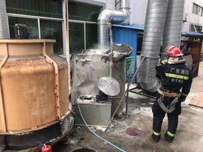 謝崗鎮一電子廠環保設備起火,應急管理局分局迅速協調消防大隊施救